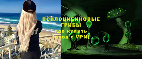 Альфа ПВП Медногорск