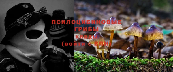 МДПВ Снежногорск