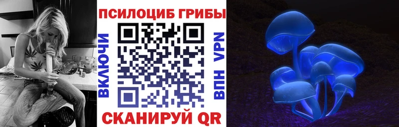 Псилоцибиновые грибы Cubensis  Харабали 